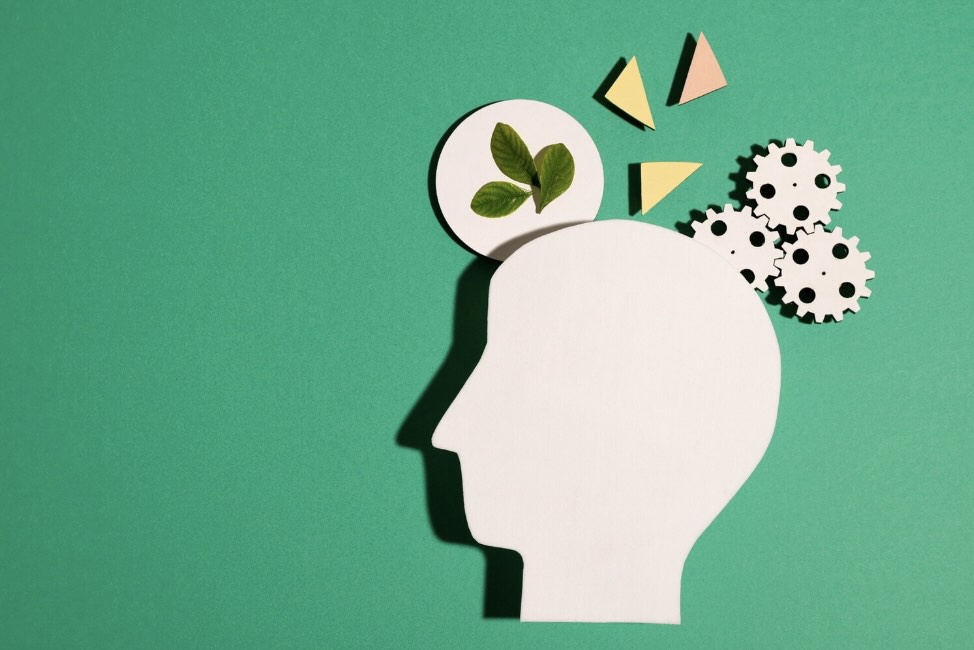 intelligenza emotiva corsi